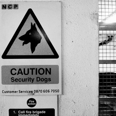 Icons from Croydon