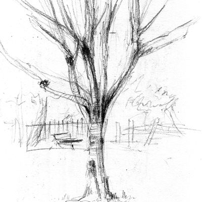 barnsbury_sq_513
