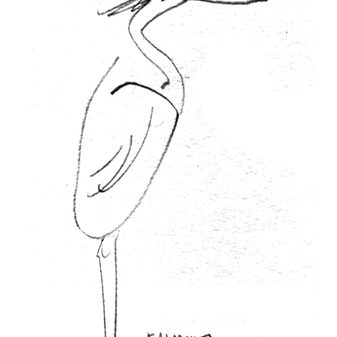 Dog, bird, and a pub stool sketches from Falmouth