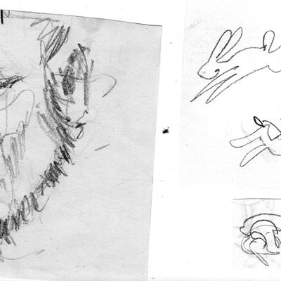 face+rabbits