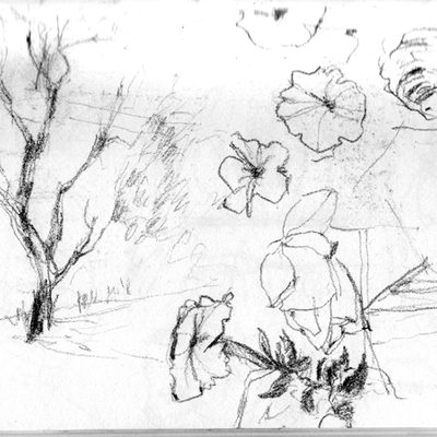 flowers_tree_norwich
