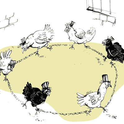 IF - chicken