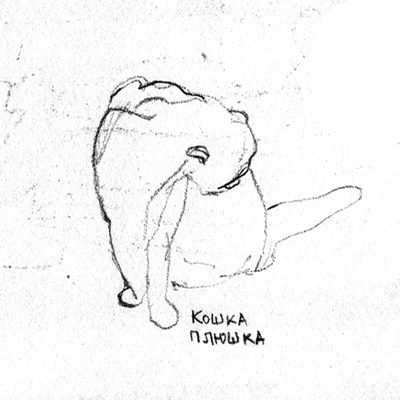 koshka_plushka_613