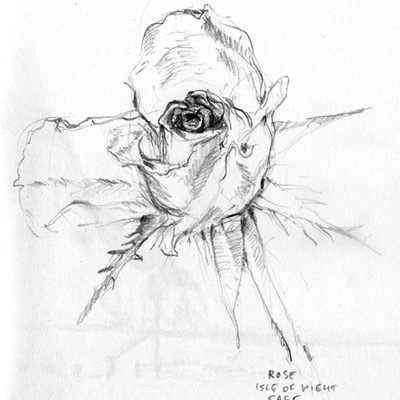 rose_shanklin_cafe_513