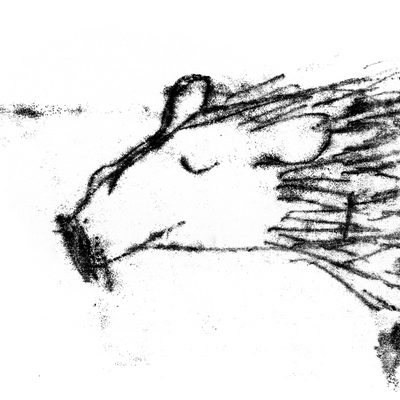 Second bear monoprint