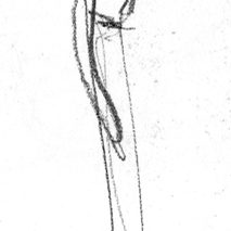 Sketch of a small squirrel
