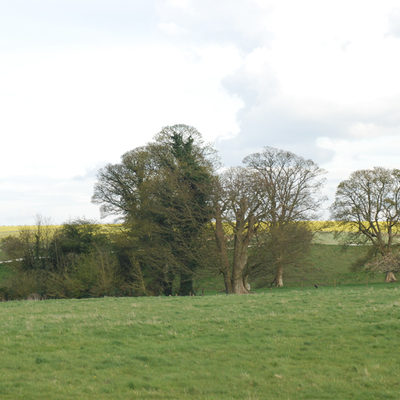 Sketches from our trip to Avebury