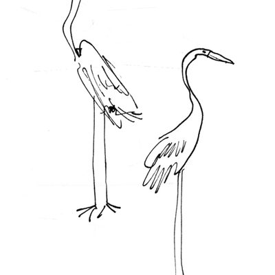 Two birds