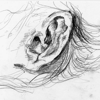 dinas_ear