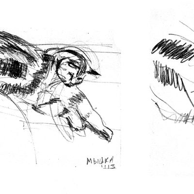 Scan-131215-0025