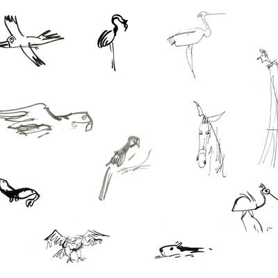 Various animals sketches