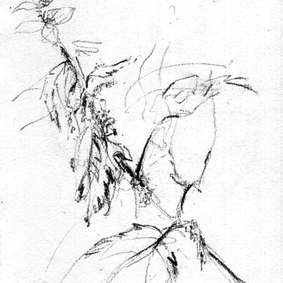 Scan-131215-0044
