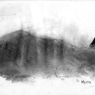 Waou, the cat from Paris