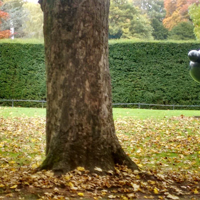 Yorkshire sculpture park