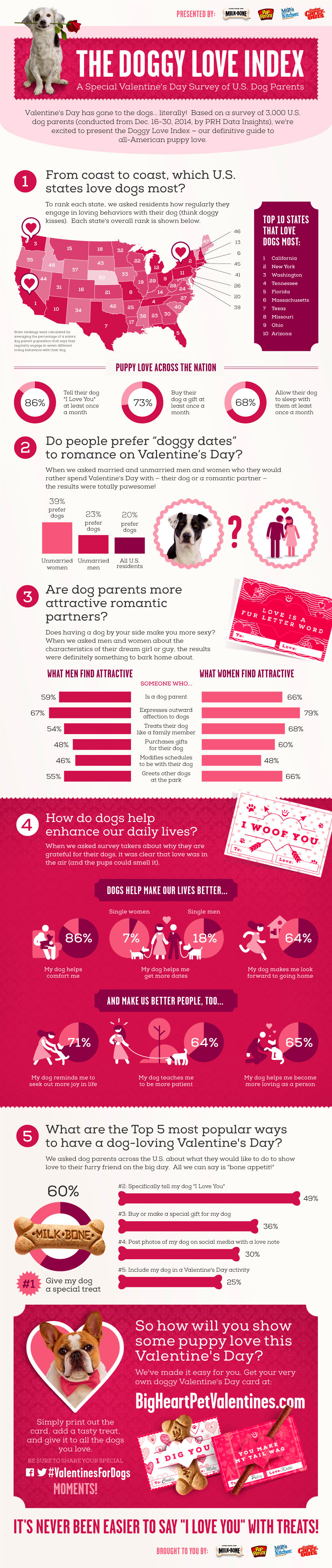 Valentine's for dogs, image 2