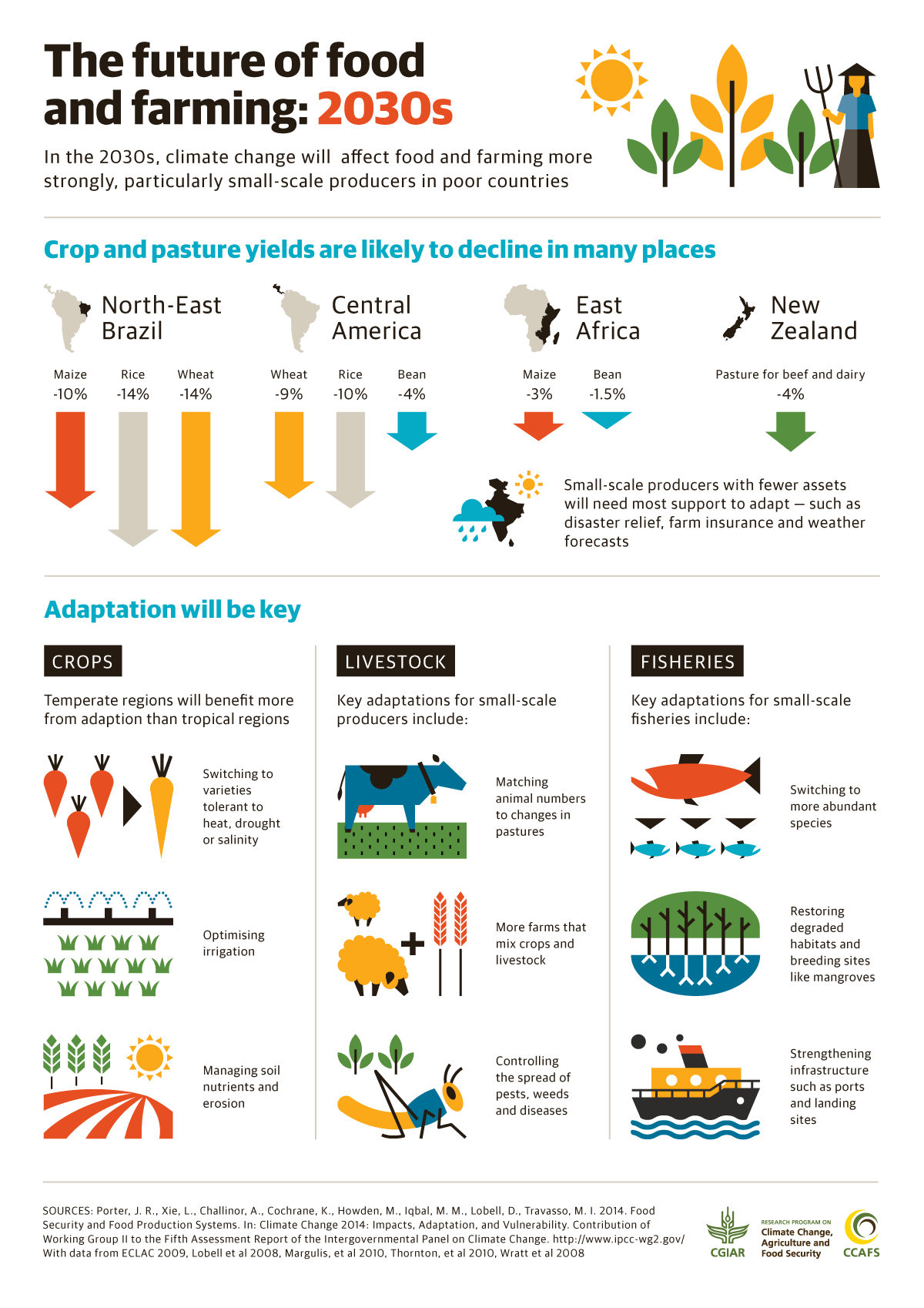 The impact of climate change, image 2
